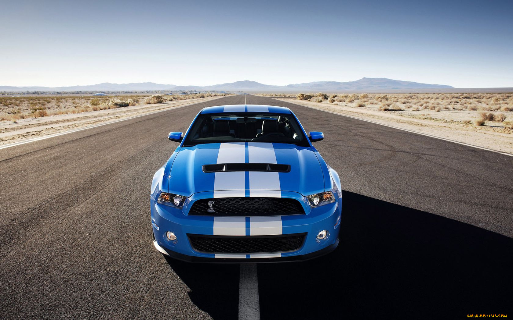 2010, ford, shelby, gt500, , mustang